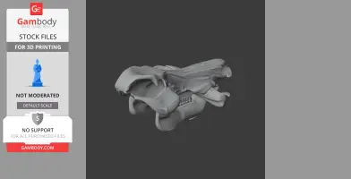 3D model of a wild boar skull, showing detailed bone structure and tusks.