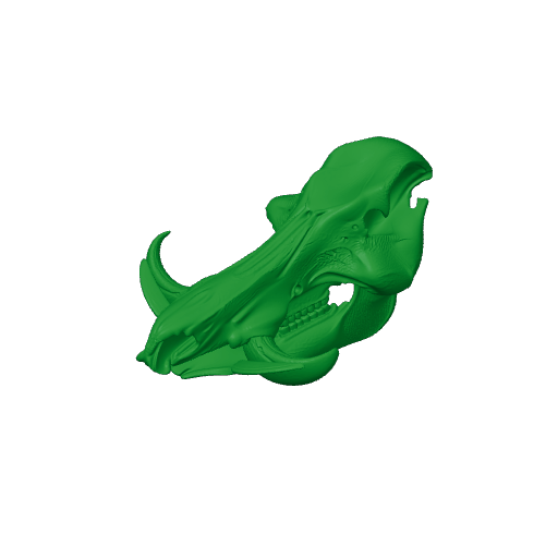 Wild Boar Skull.3mf