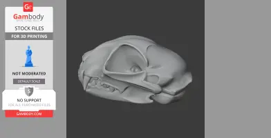 3D model of a wildcat skull, side view, with detailed features for printing.