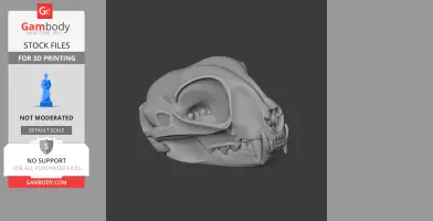 3D model of a detailed wildcat skull, suitable for 3D printing.