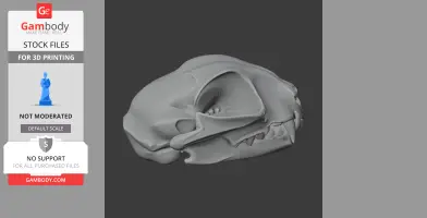 3D model of a detailed wildcat skull, side view, for 3D printing.