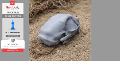 A smooth, gray, 3D-printed wildcat skull model on sand.
