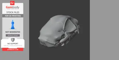 3D model of a wildcat skull replica, detailed and ready for 3D printing.