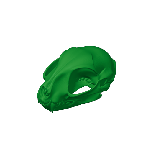Wildcat Skull.3mf