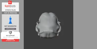 3D model of a wildcat skull viewed from the top, designed for 3D printing.