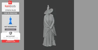Minerva McGonagall Harry Potter - Character Figure STL