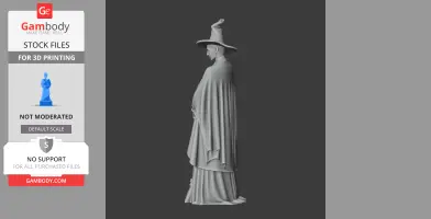Minerva McGonagall Harry Potter - Character Figure STL