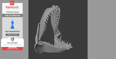 Whitespotted Bamboo Shark Skull - Skull Replica STL