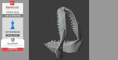 Whitespotted Bamboo Shark Skull - Skull Replica STL