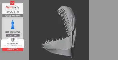 Whitespotted Bamboo Shark Skull - Skull Replica STL