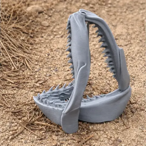 Whitespotted Bamboo Shark Skull - Skull Replica STL