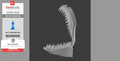 Whitespotted Bamboo Shark Skull - Skull Replica STL