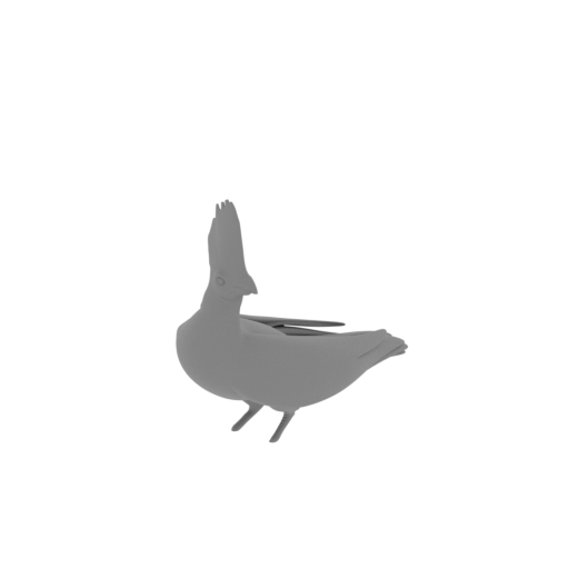Bare-faced go-away-bird.stl