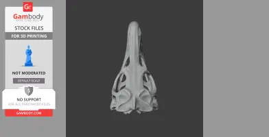A 3D model of a Wiehenvenator skull, viewed from above, designed for 3D printing.