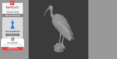 Bare-faced ibis - Prehistoric Animal STL