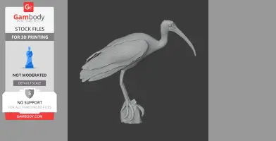 Bare-faced ibis - Prehistoric Animal STL
