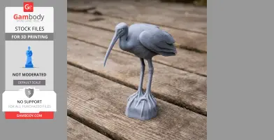 Bare-faced ibis - Prehistoric Animal STL