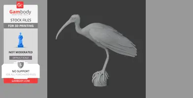 Bare-faced ibis - Prehistoric Animal STL