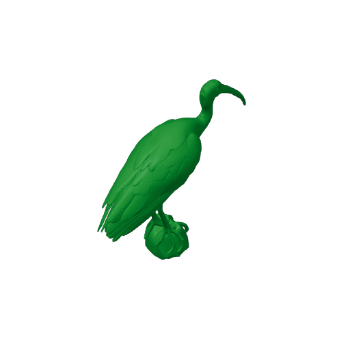 Bare-faced ibis.3mf