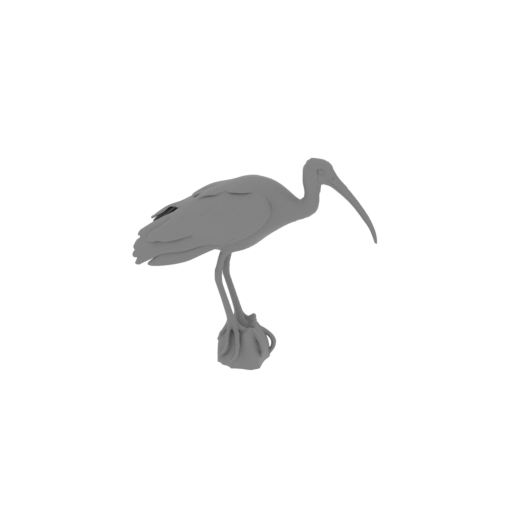 Bare-faced ibis.stl