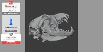 3D model of a wolf skull with detailed teeth and bone structure, suitable for 3D printing.