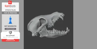 3D model of a wolf skull, side view, designed for 3D printing.