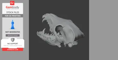 3D model of a wolf skull with open jaws, showing detailed teeth and bone structure.