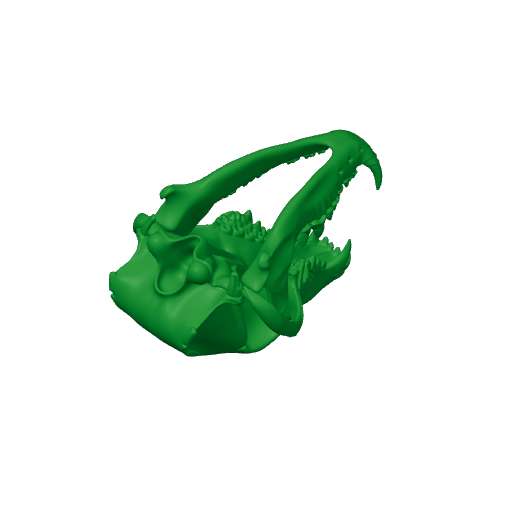 Wolf Skull.3mf
