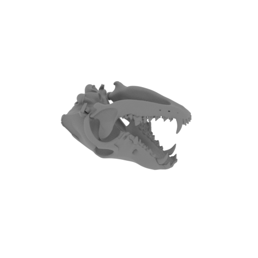 Wolf Skull.stl