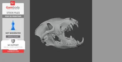 3D model of a wolf skull with detailed teeth and bone structure, designed for 3D printing.