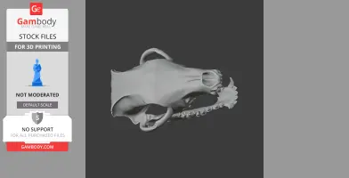 3D wolf skull model, side view, displaying detailed bone structure, suitable for 3D printing.