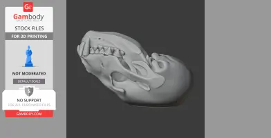 Wolverine (Glutton) Skull - Skull Replica STL
