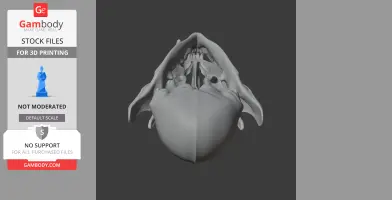 Wolverine (Glutton) Skull - Skull Replica STL