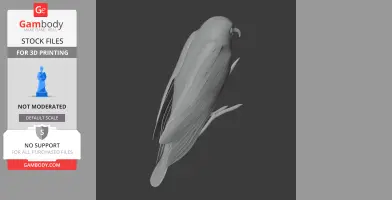 Bare-legged owl - Prehistoric Animal STL