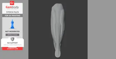 Bare-legged owl - Prehistoric Animal STL