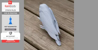 Bare-legged owl - Prehistoric Animal STL