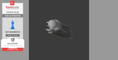 Bare-legged owl - Prehistoric Animal STL