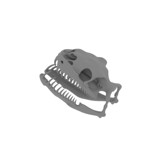 Woma Python Skull.stl