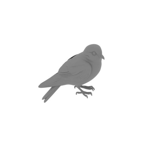 Bare-legged swiftlet.stl