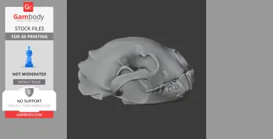 3D model of a Wudingloong skull from the side profile, designed for 3D printing.