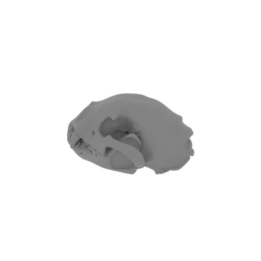 Wudingloong Skull.stl