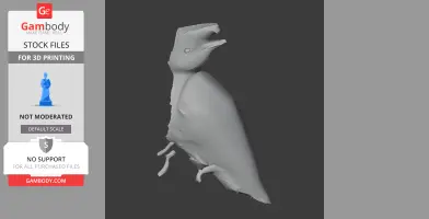 Bare-necked umbrellabird - Prehistoric Animal STL