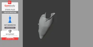 Bare-necked umbrellabird - Prehistoric Animal STL