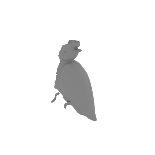 Bare-necked umbrellabird.stl