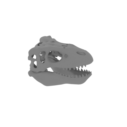 Wuerhosaurus Skull.stl