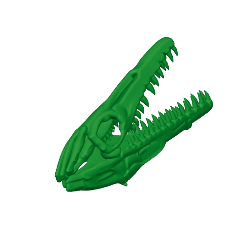 Yamatosaurus Skull.3mf
