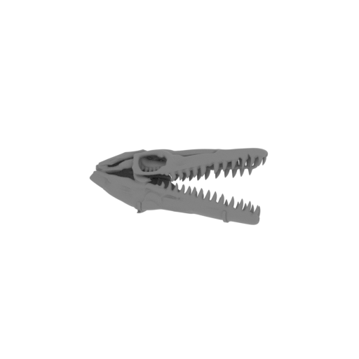 Yamatosaurus Skull.stl