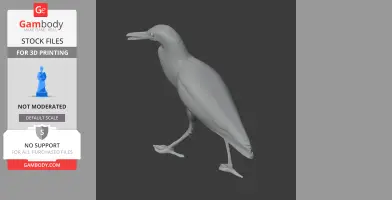 Bare-throated tiger heron - Prehistoric Animal STL