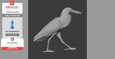 Bare-throated tiger heron - Prehistoric Animal STL