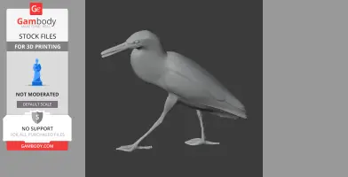Bare-throated tiger heron - Prehistoric Animal STL